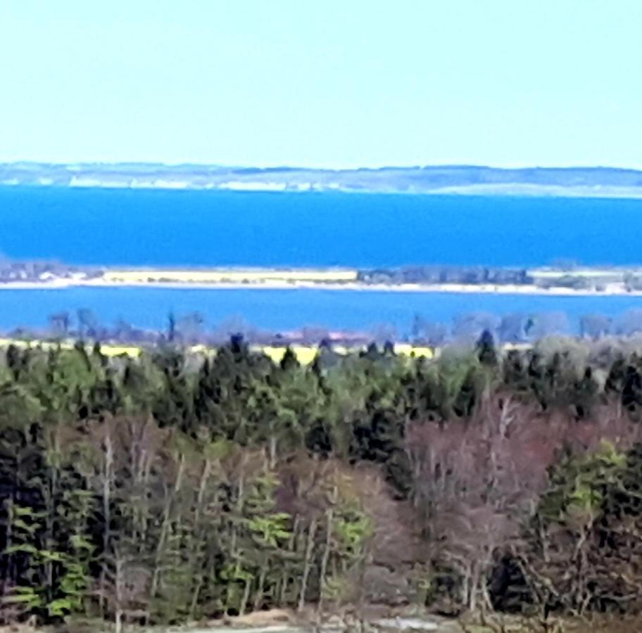 Seeblick Hohenfelde  المظهر الخارجي الصورة